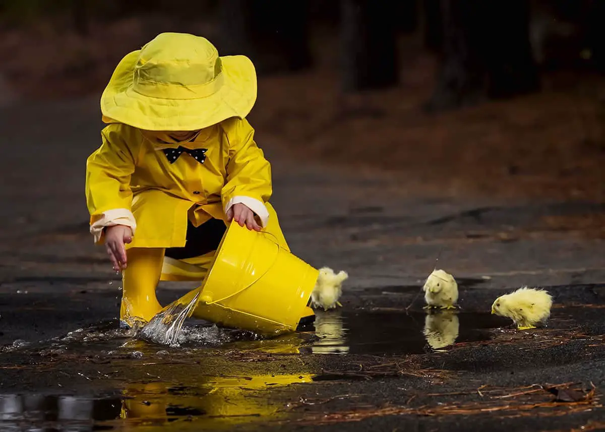 A small child plays in the rain while little chicks try to get a drink of water