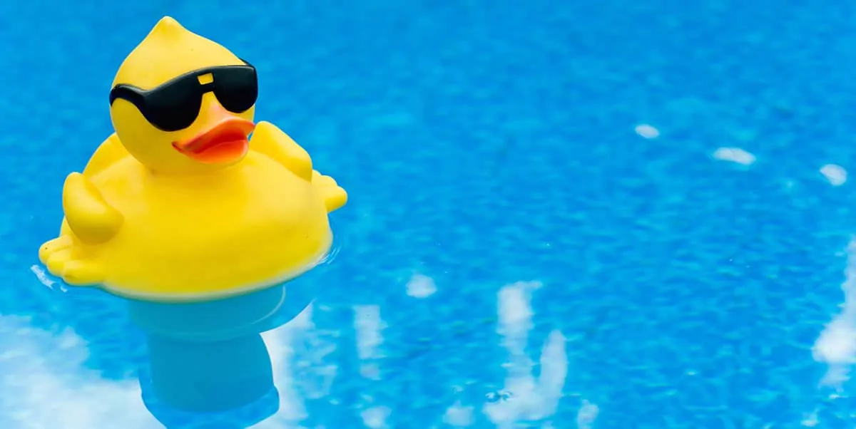 Rubber Duck in Pool