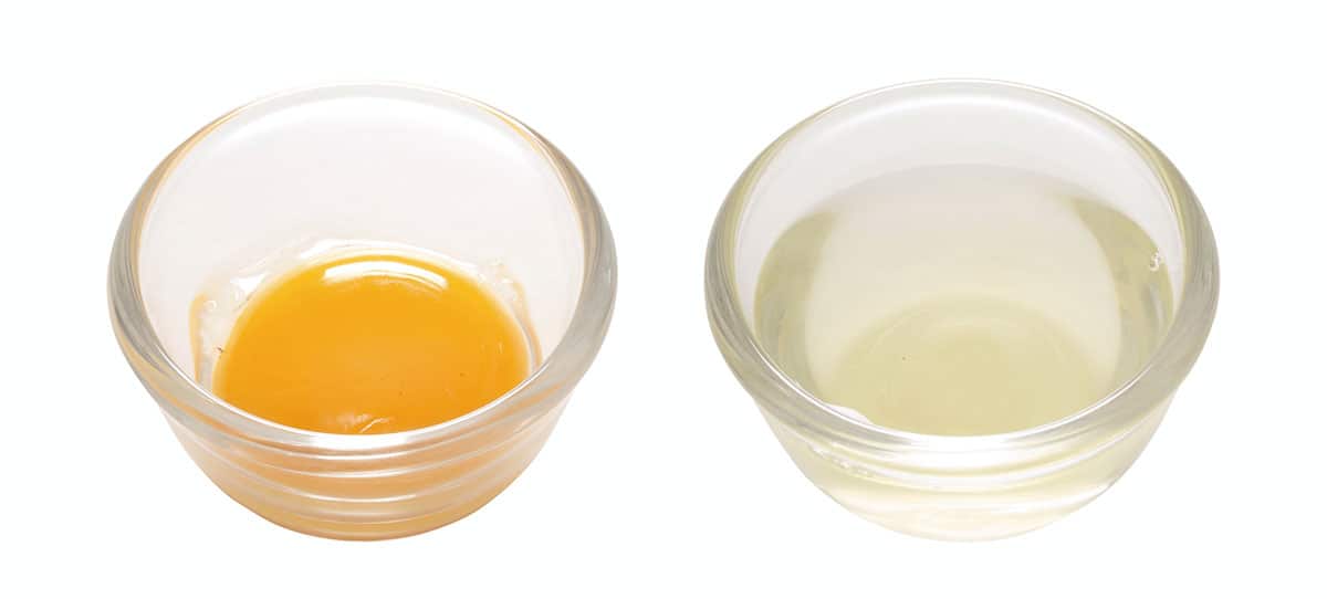 Egg without yolk