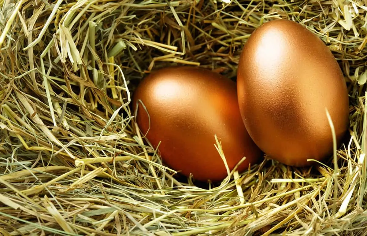 Two gold eggs in nest