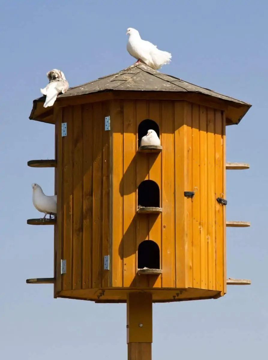 Dovecote