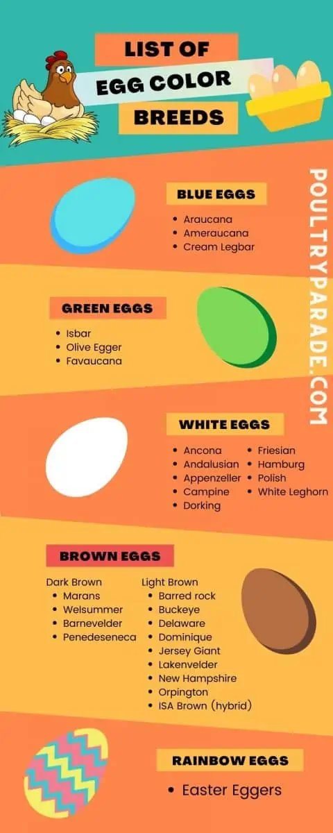 Egg colors